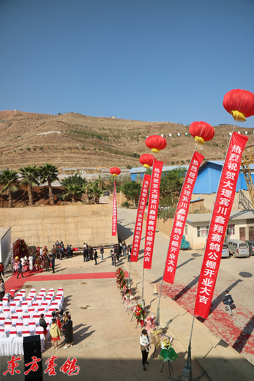 云南大理鑫翔公棚,大理宾川鑫翔公棚规程