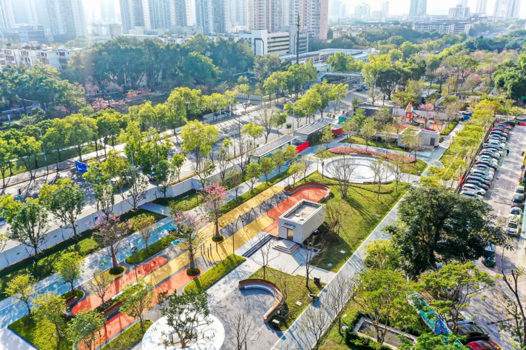 深圳成功打造世界著名花城,深圳打造国际花园城市