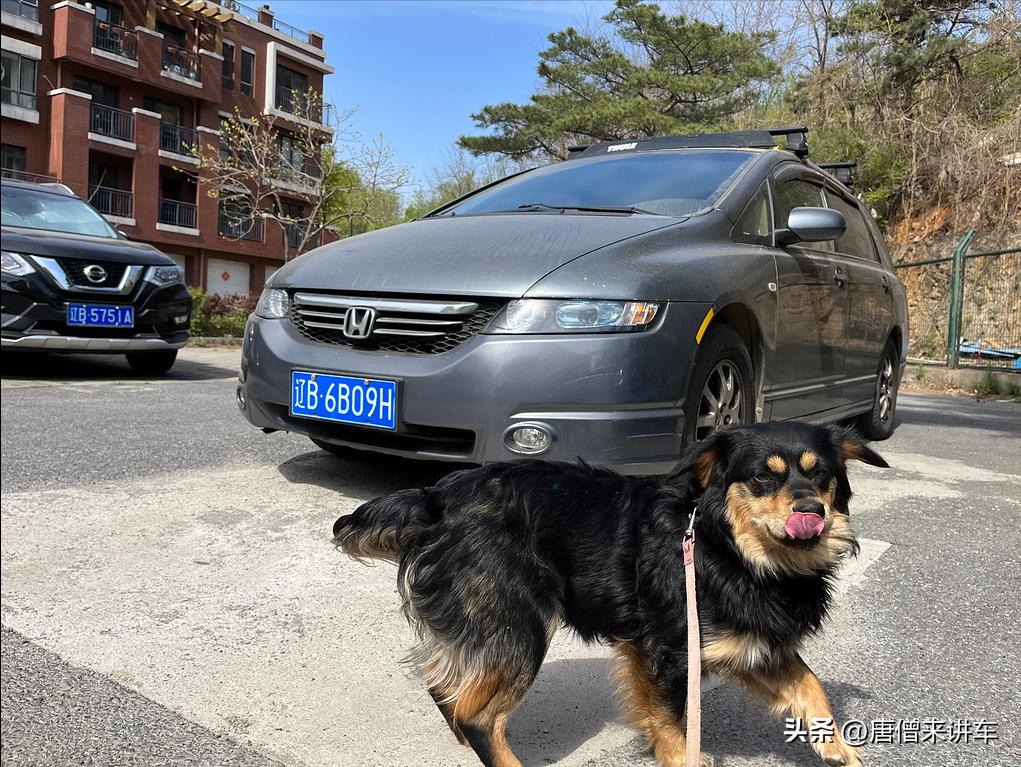 boodain洗车机是什么品牌,boodain洗车机直播