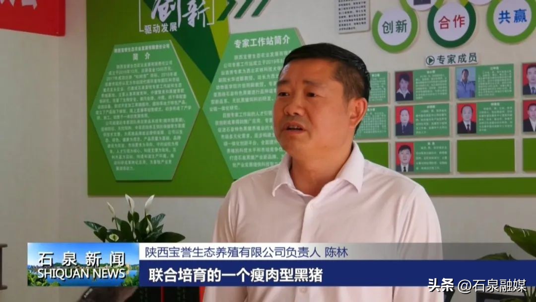 石泉县池河镇建设情况,石泉县池河镇项目