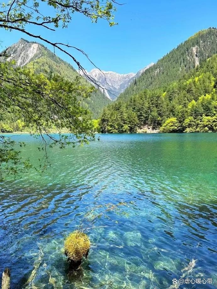 九寨沟到若尔盖行程安排,去九寨沟旅游攻略自由行