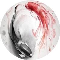 数字问道游戏,数字读心游戏