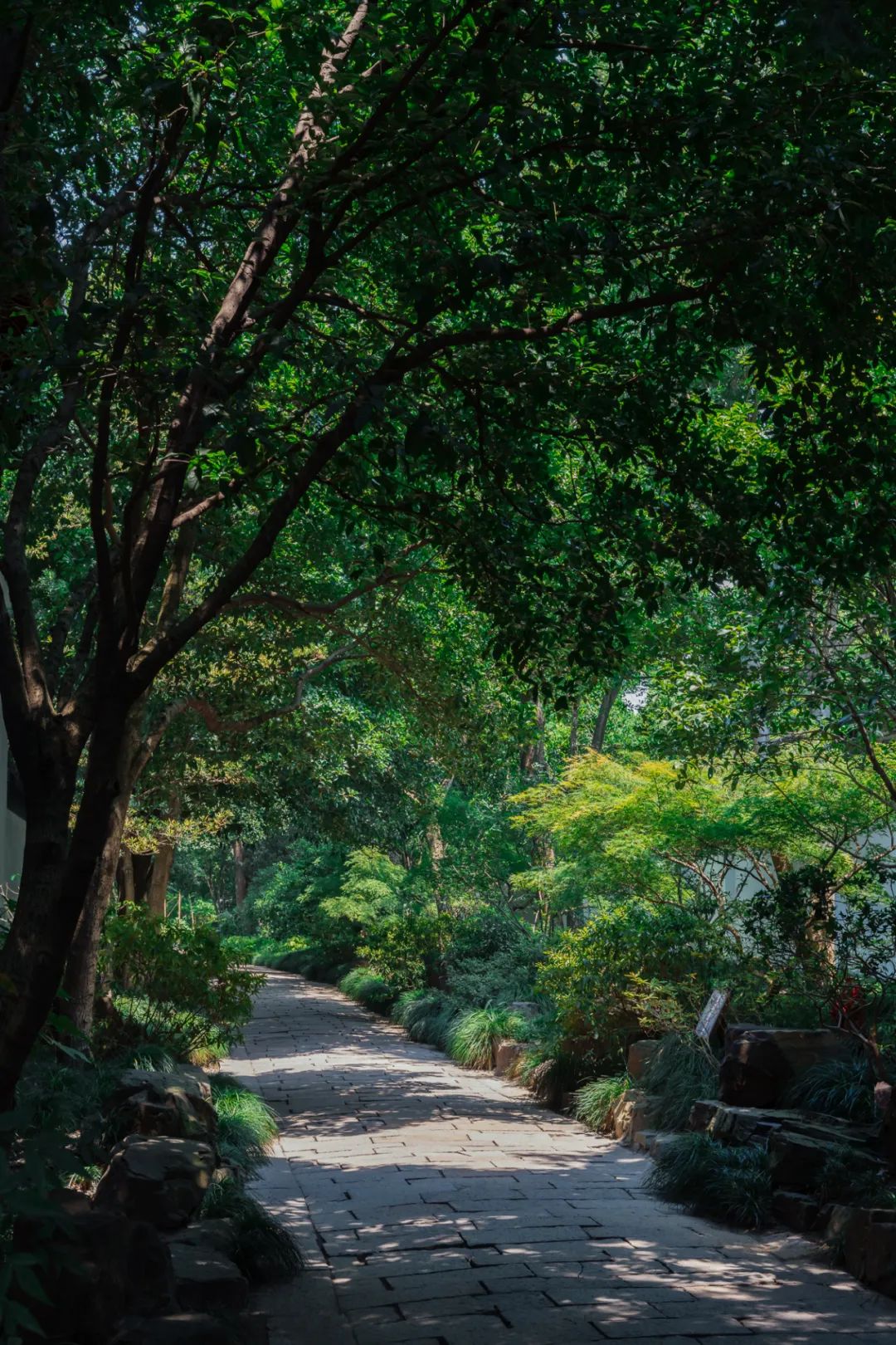 520年一遇，2022上海最浪漫打卡地出炉