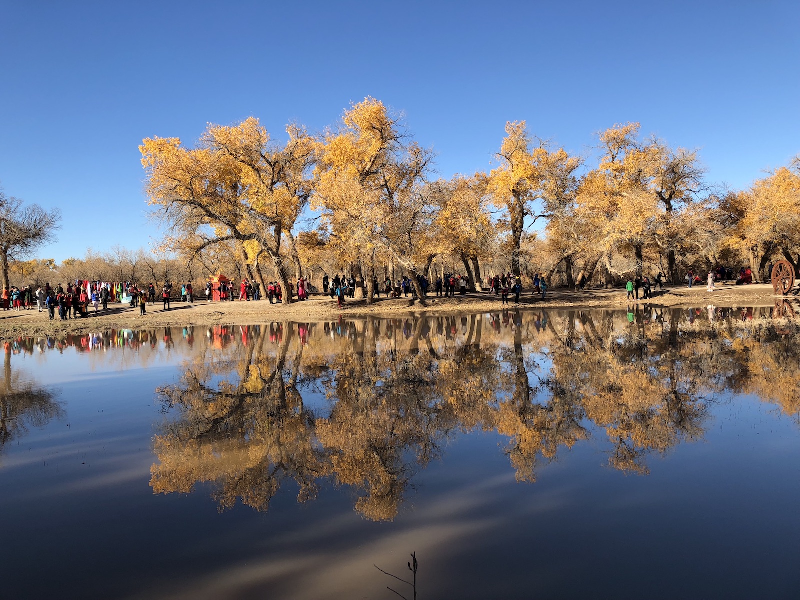 北京自驾额济纳胡杨林十天攻略,从北京到额济纳胡杨林线路