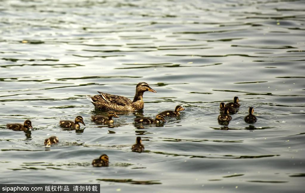 冬天颐和园昆明湖全景,观赏颐和园昆明湖