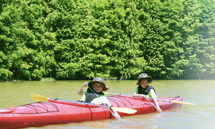 上海夏令营排行榜,上海夏令营训练机构哪家好