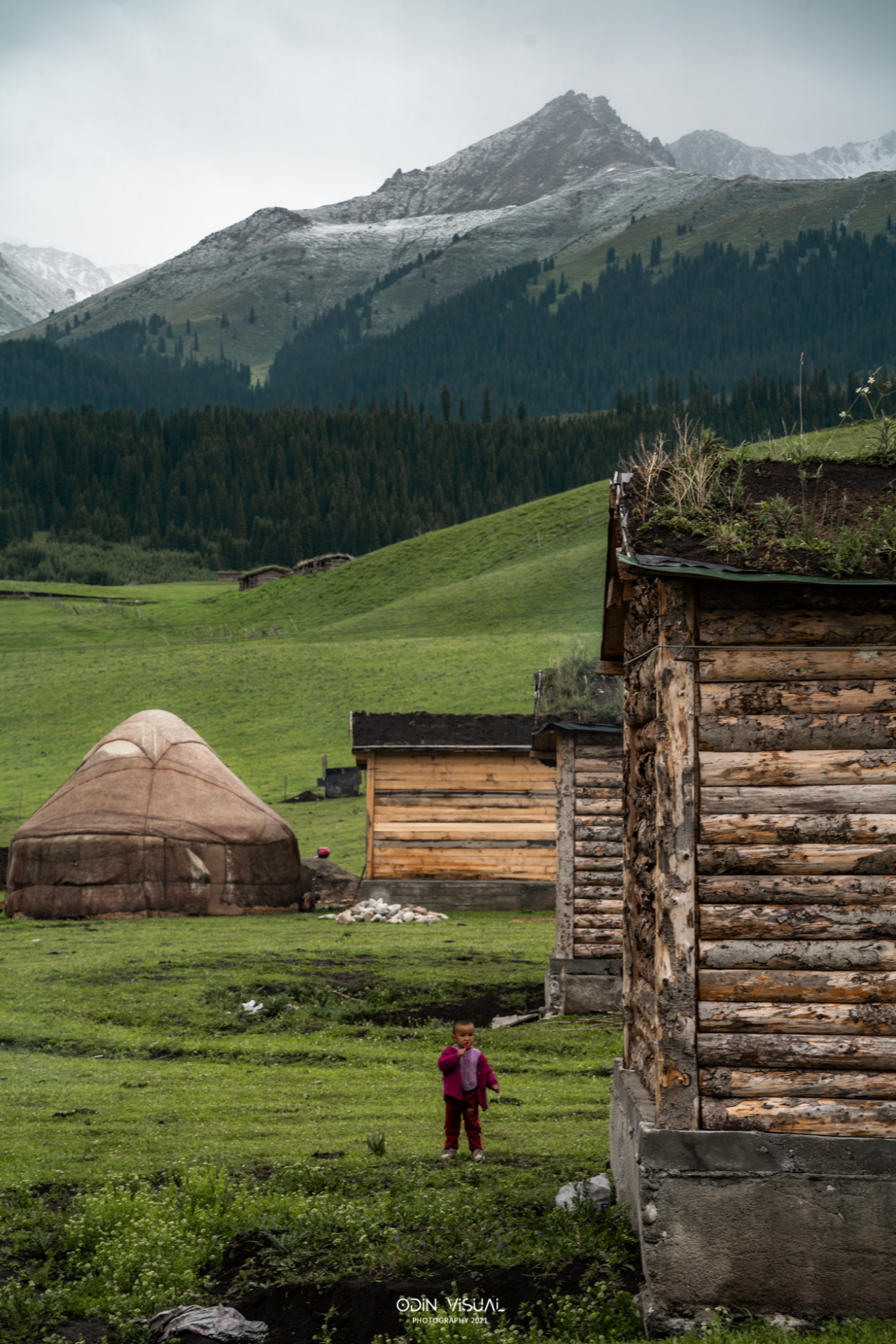 新疆伊犁之美,走了一圈才发现世界万物远不及你