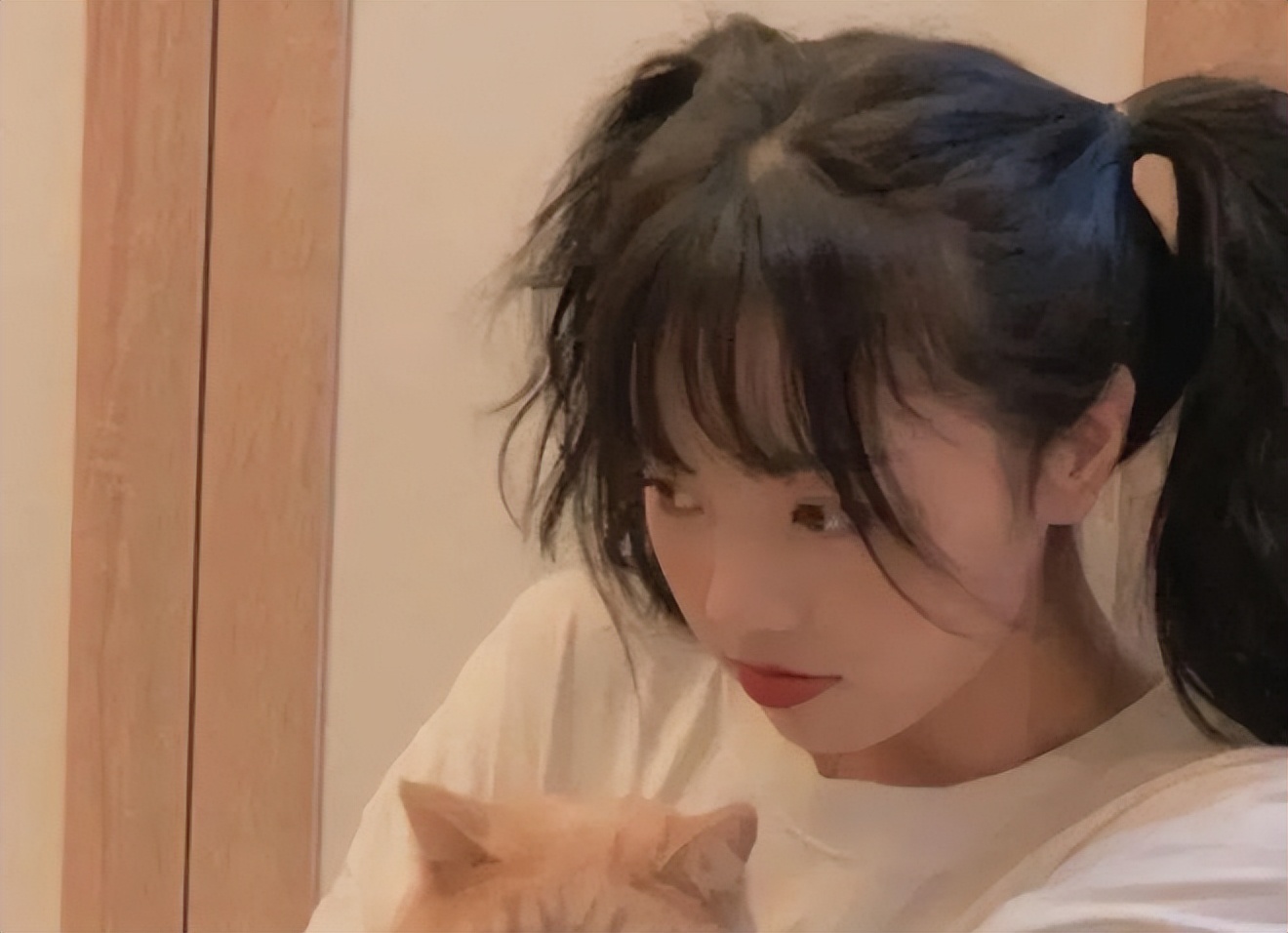 为什么越来越多女人越喜欢你,为什么越来越多的女生喜欢哥哥