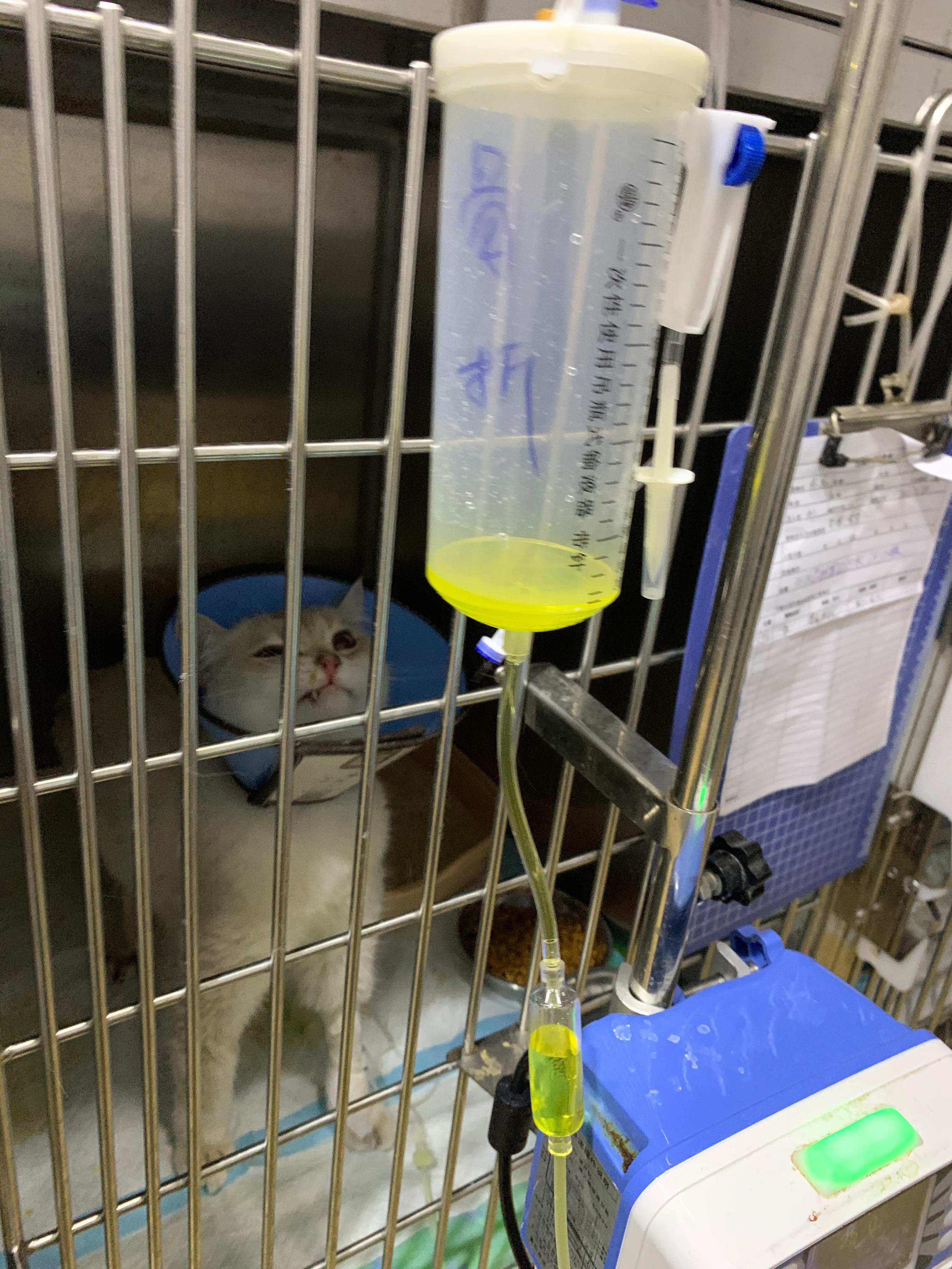 探视我家的小宠——点点