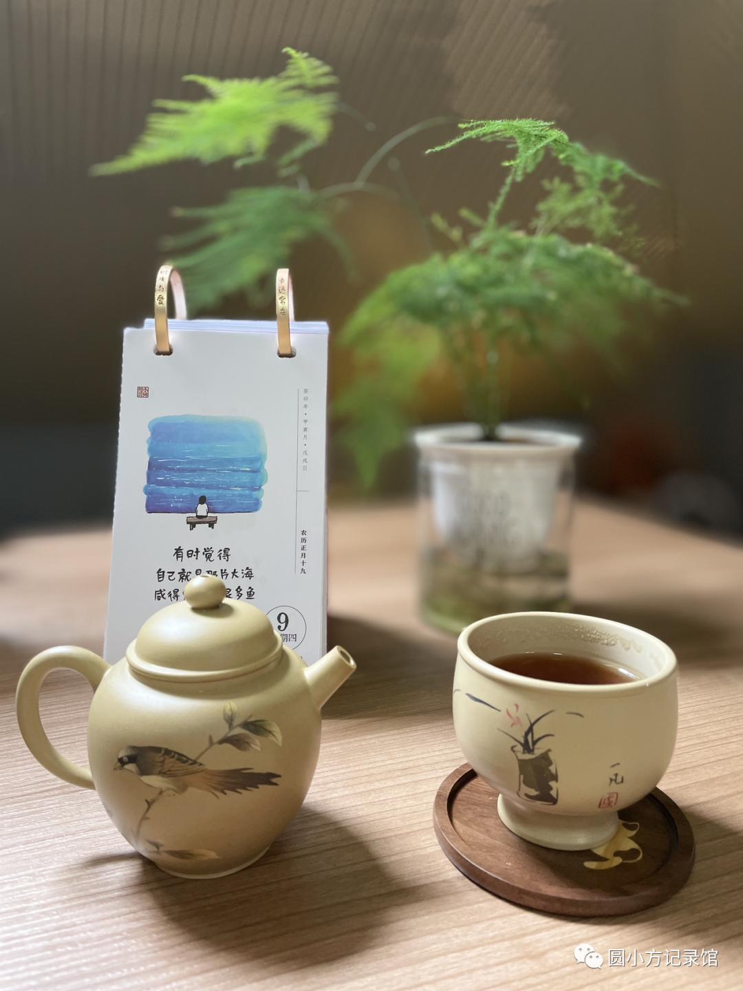 旅行中你会买些啥礼物？看看我的战利品吧