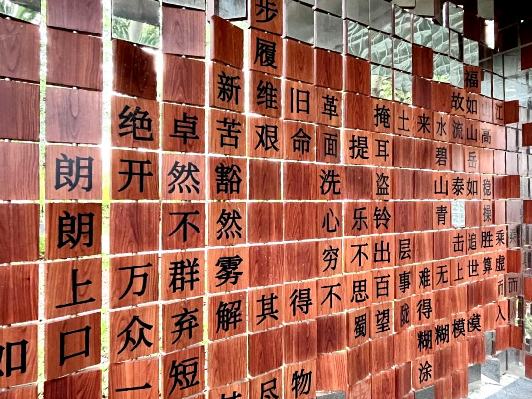 立夏时光美景,立夏时光打卡