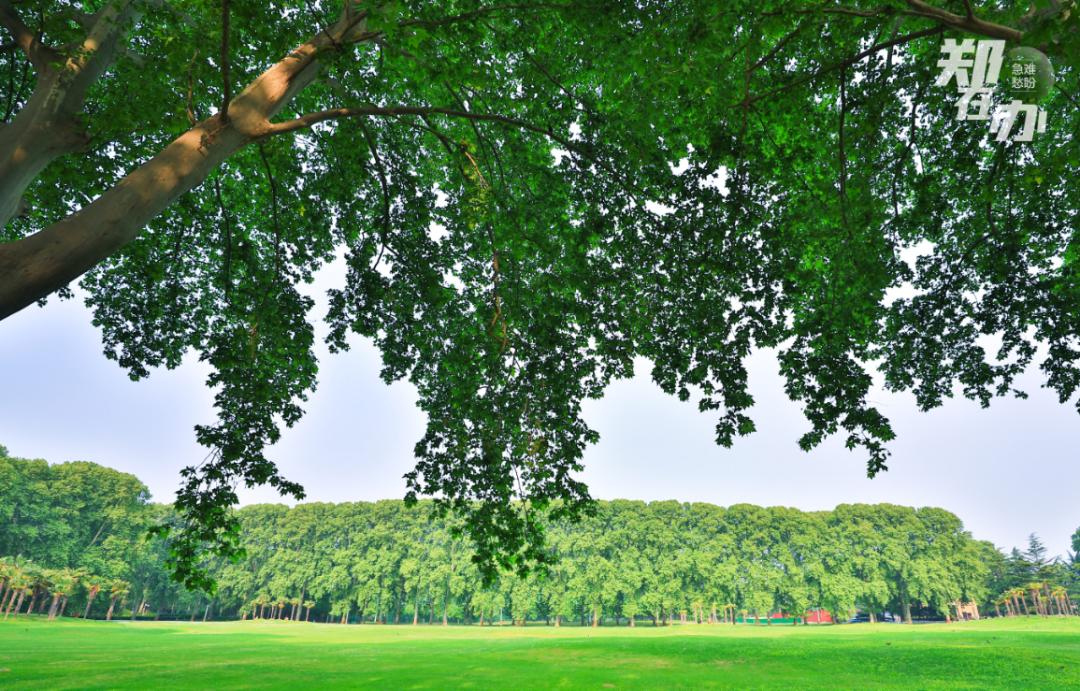 郑州哪个地方最适合春游,3月春游好去处郑州