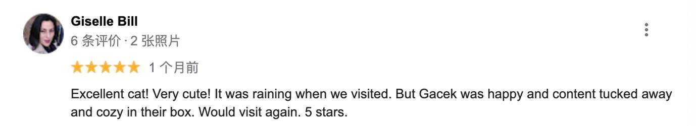 波兰一流浪猫成5星旅游景点,一只流浪的大肥猫