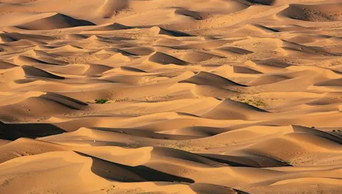 日本“好心”提出大米换砂，周恩来总理听后大手一挥：门都没有