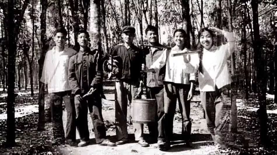 中国人民解放军部队组成部分,解放军通信兵团的序列