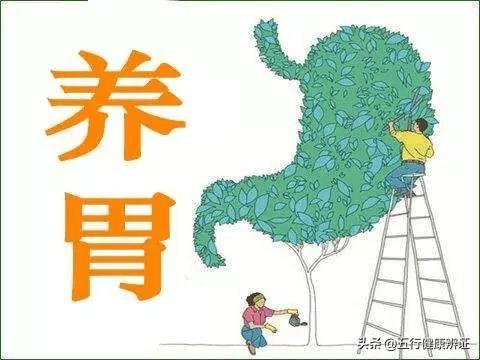 总是口渴心还发慌,口干养阴生津有什么中草药