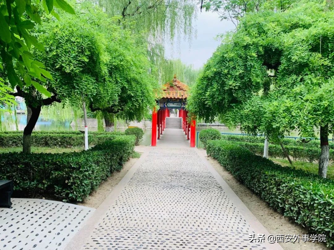 西安外事学院法语系老师,西安外事学院法语系