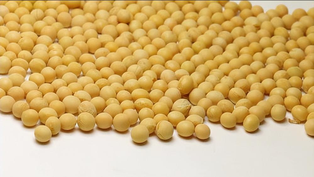 为什么女性过50岁就浑身疼,为什么女人到50浑身有病了