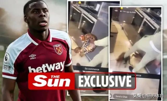 回顾欧洲足坛暴力事件,虐猫恶行曝光