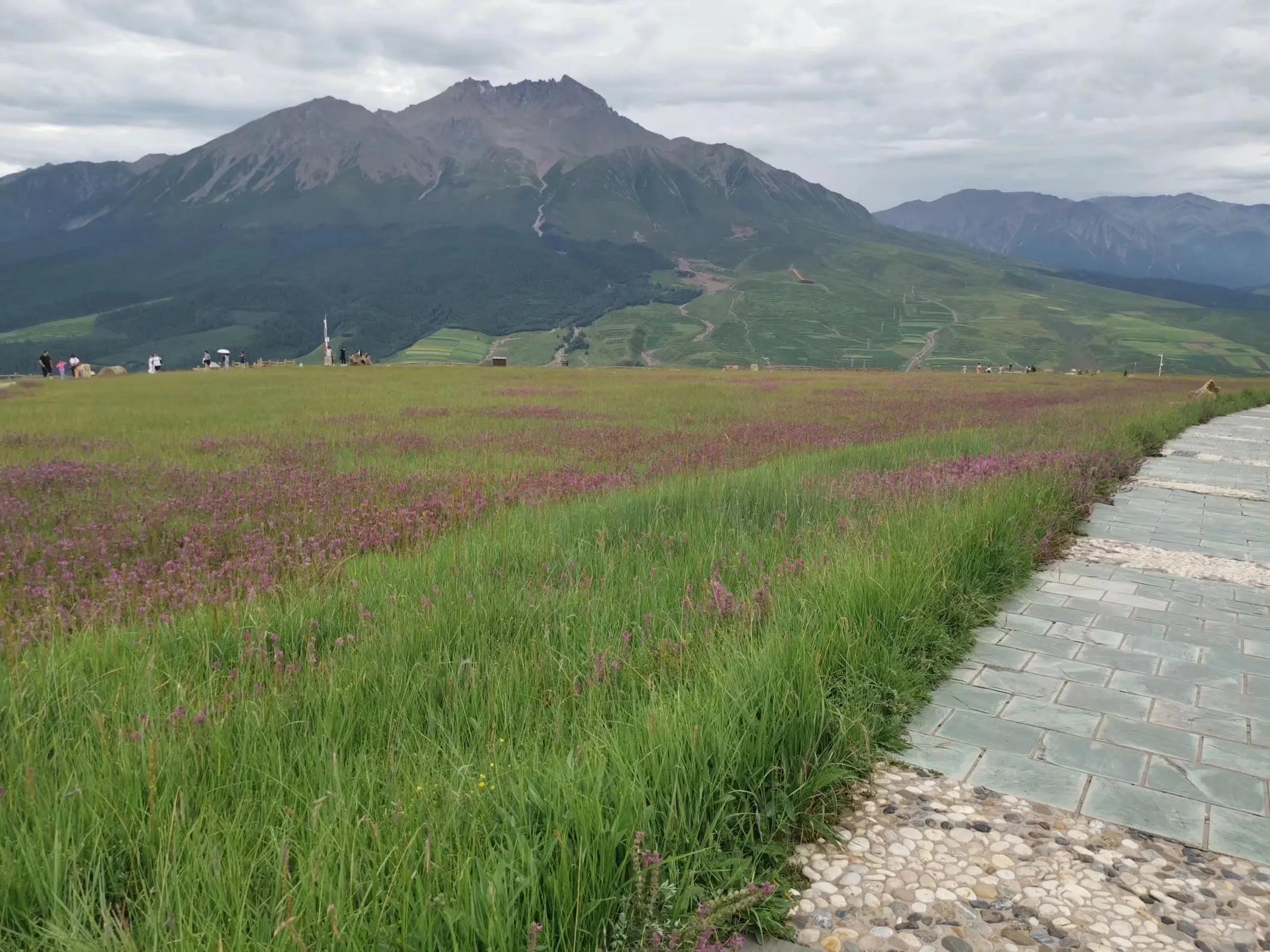 青海跟团游为什么不包餐,什么人不建议去青海旅游