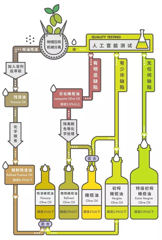 如何选进口橄榄油,地中海的阳光橄榄油