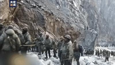 立功警犬被伤,功勋犬拍戏被炸死驯养员哭出血