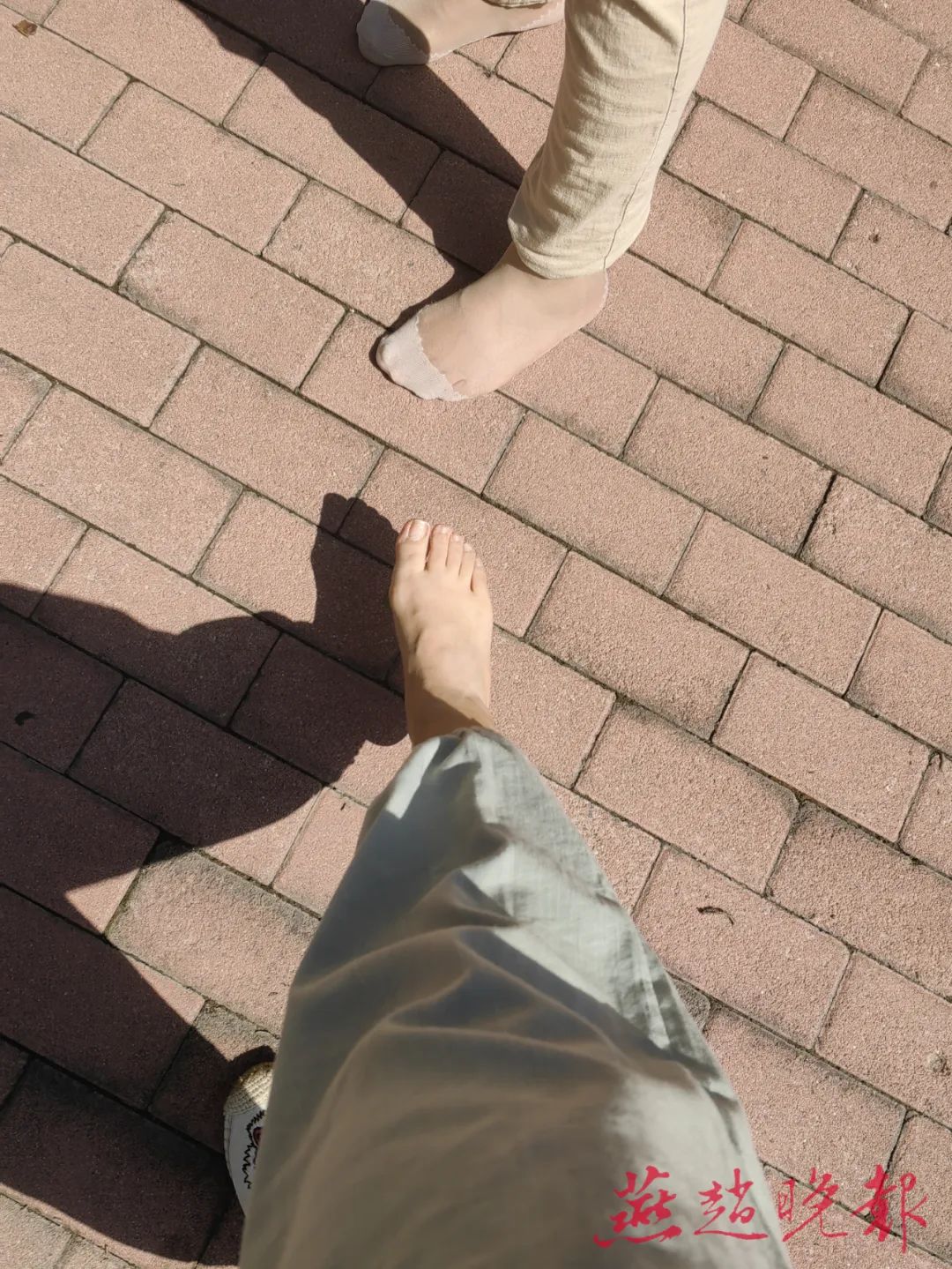 晒背、晒脚心、晒手心、坐晒烫的石墩……这个夏天你会主动求晒么