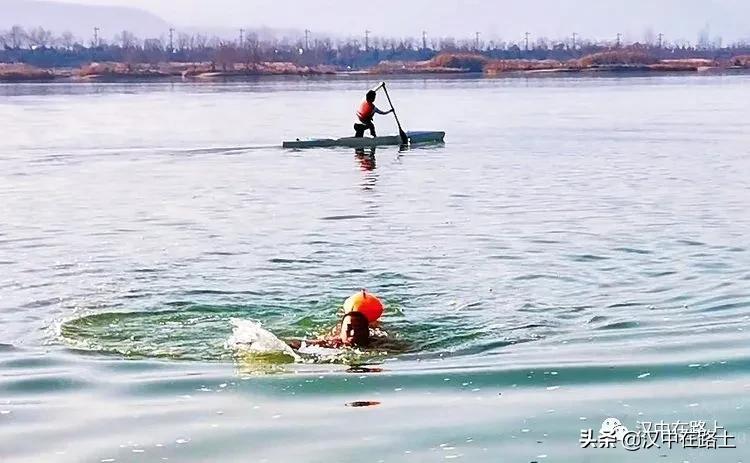 冬泳爱好者低温中畅游泳,泳者无所畏惧