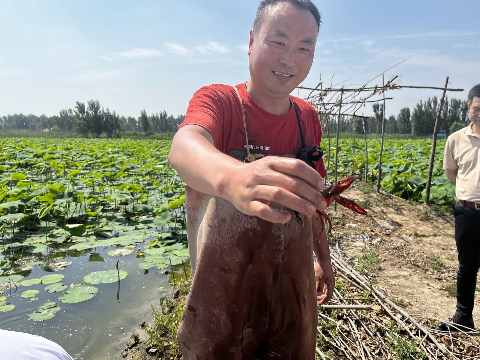 记者带你看农业合作社促农增收,走进县城看发展高青