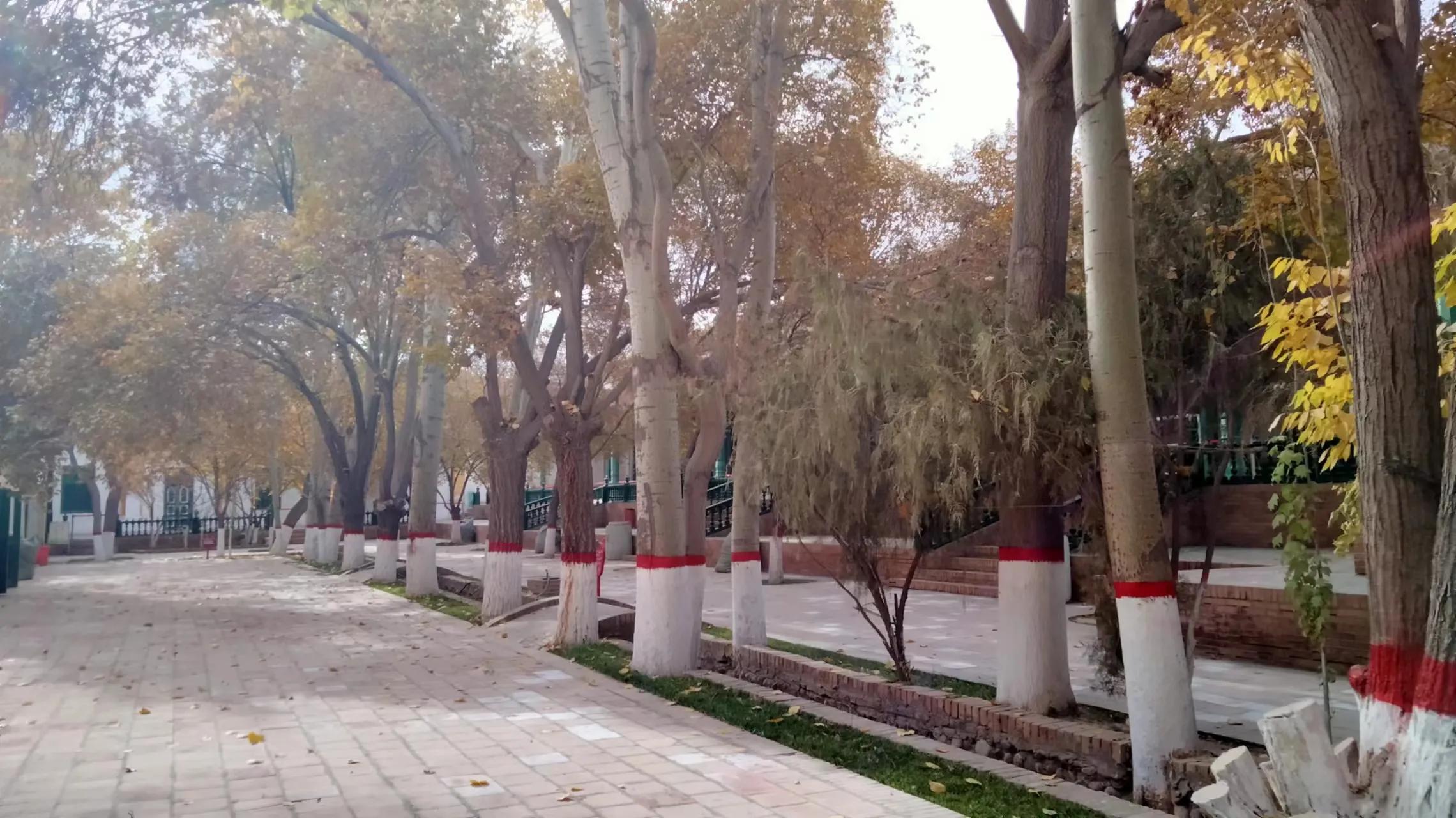 遇到在路上旅行,一个月也能赚一万块左右的小敏(124)