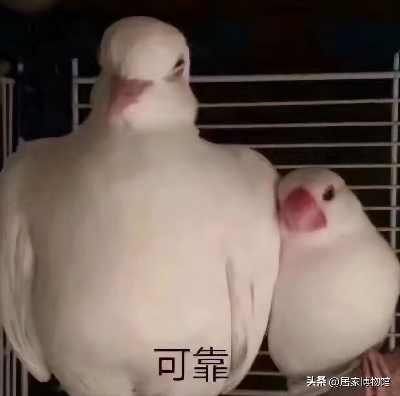 45千元的按摩椅哪个牌子好,按摩椅4千左右能买么