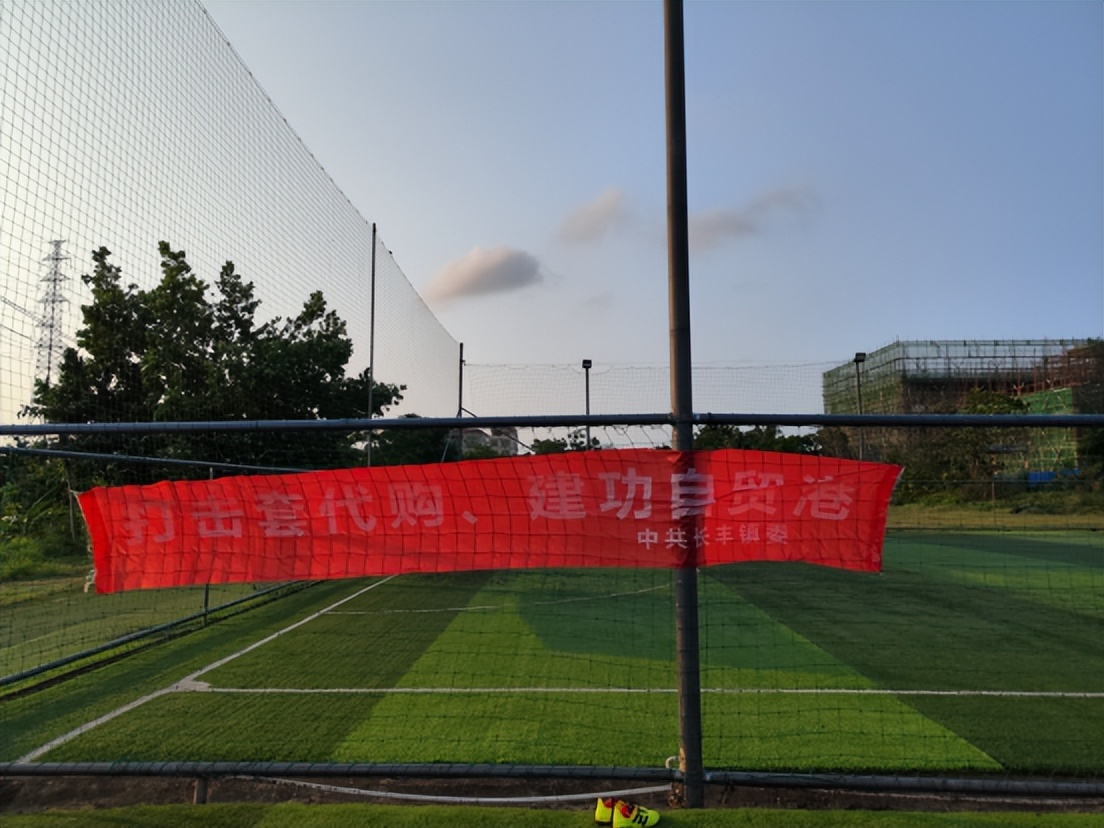 太平圩镇开展禁种铲毒工作,丰阳镇开展禁种铲毒踏查活动