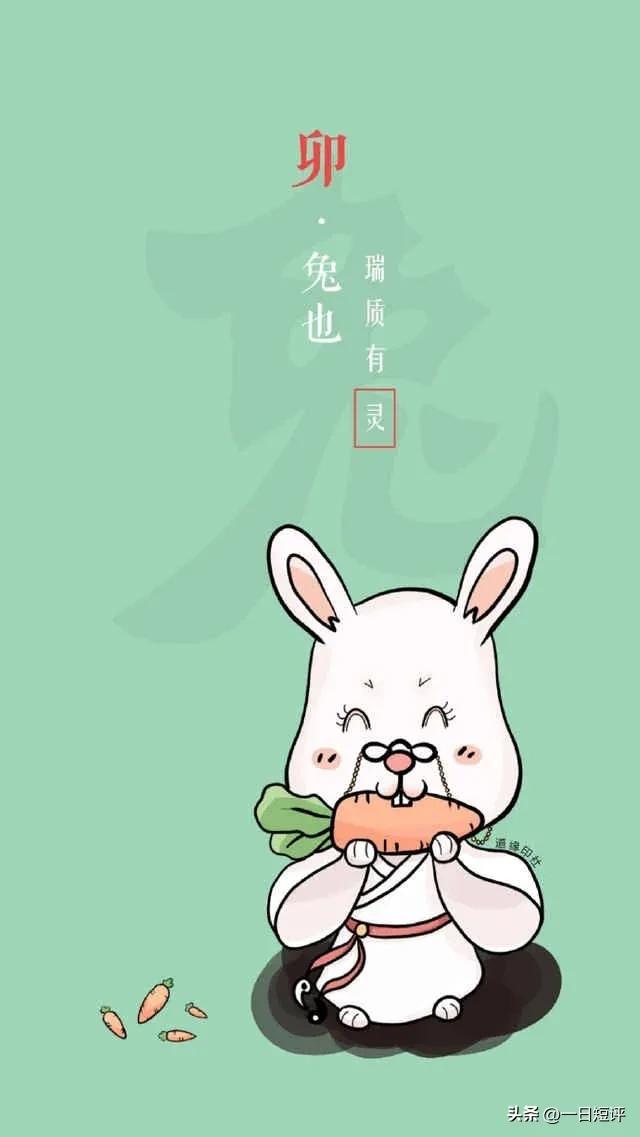 2023兔年和以前有什么不一样,2023年之后还有哪一年是兔年