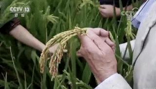 圈内人爆料的假恩爱夫妻,被骂最惨的一对秀恩爱夫妻