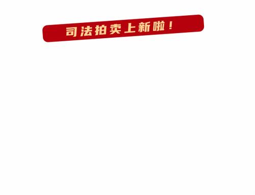 仪陇县人民法院拍卖房,仪陇法院