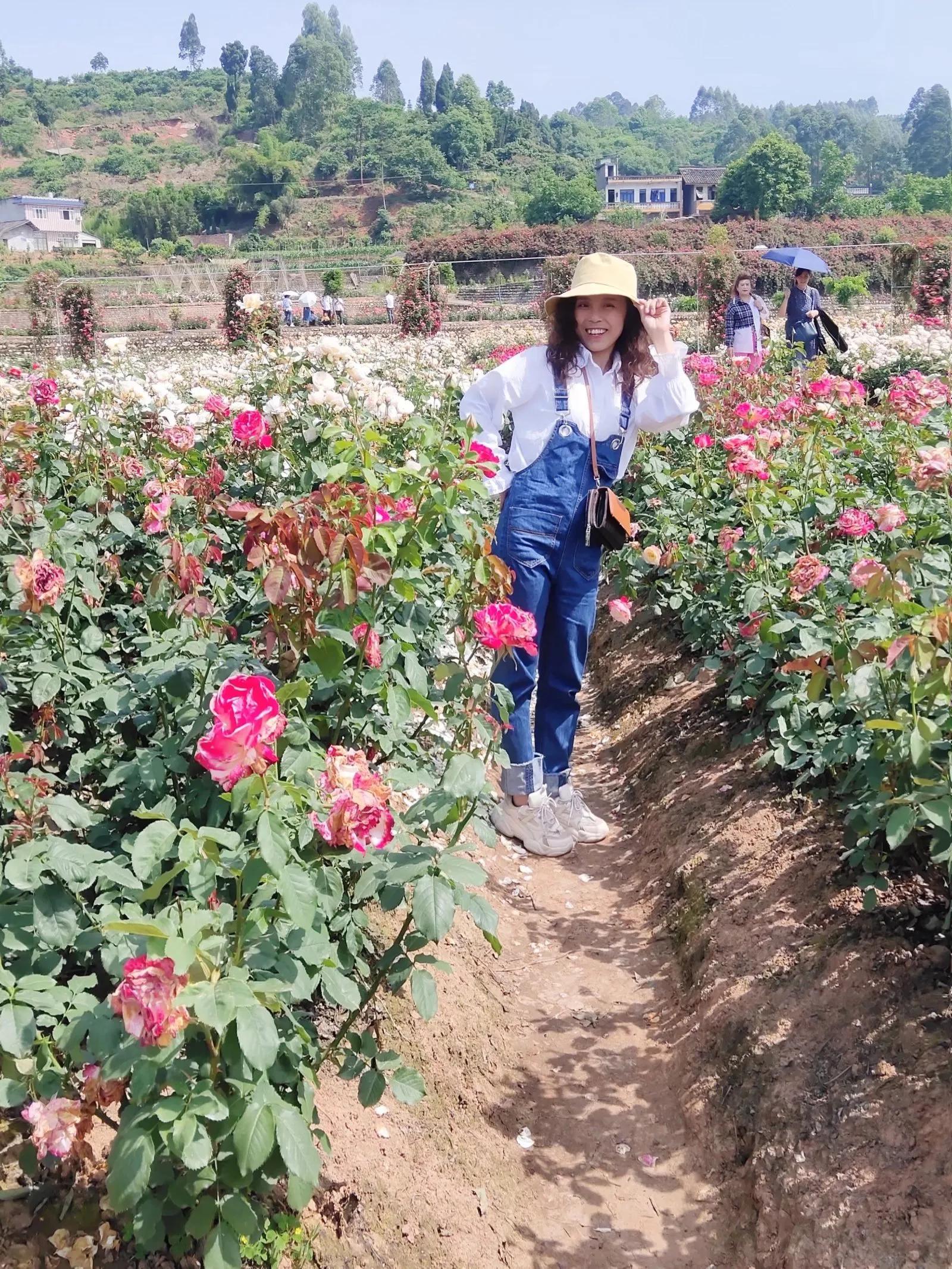 没有爱情的婚姻就是坟墓,没有爱情只有责任的婚姻该怎么办