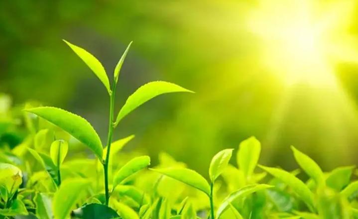 社交的5大技巧造就你的成功人生,有效的社交让你的人生事半功倍