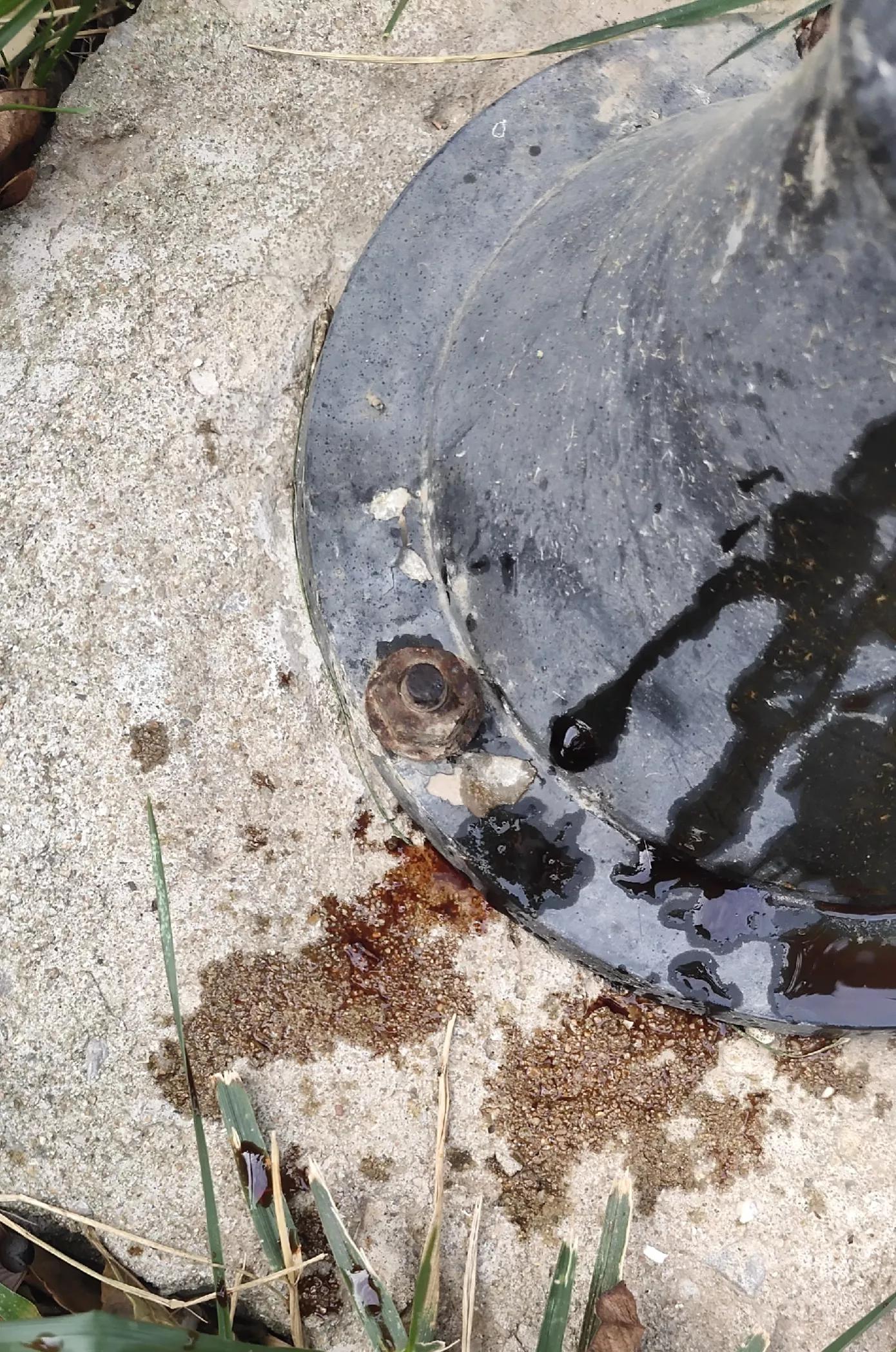 狗吃圆葱后尿血多久能恢复,狗吃大葱尿血能自己恢复吗