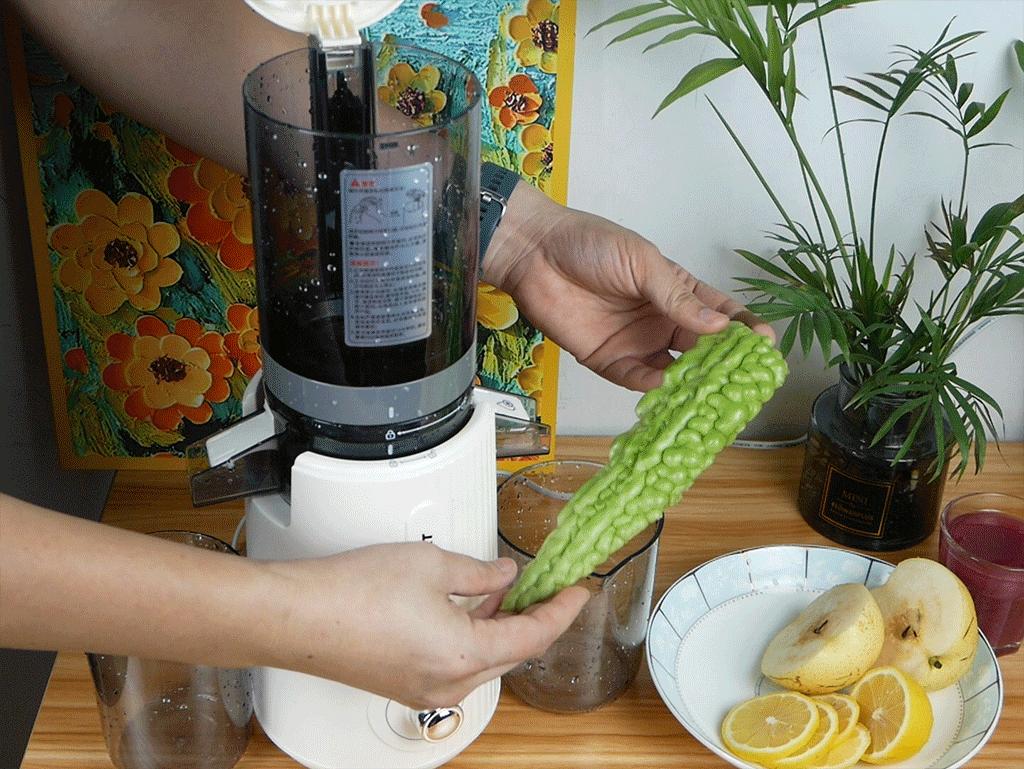 蓝宝的冰淇淋机,德国蓝宝榨汁杯冰淇淋