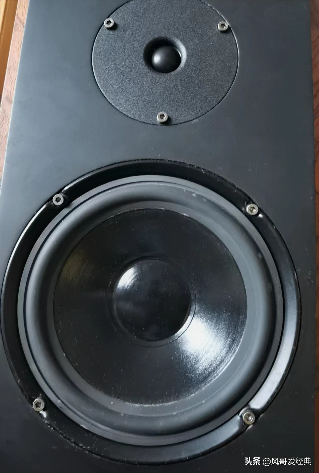 缪斯音箱大全图,缪斯音箱哪款型号好