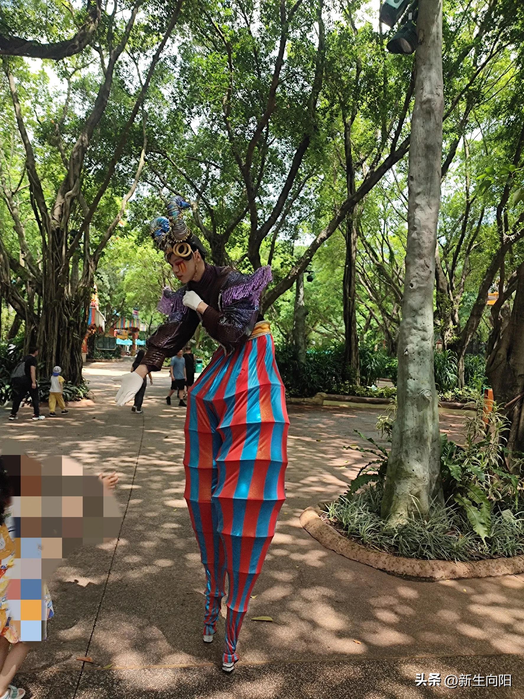 长隆野生动物园两大一小,长隆野生动物园一家三口