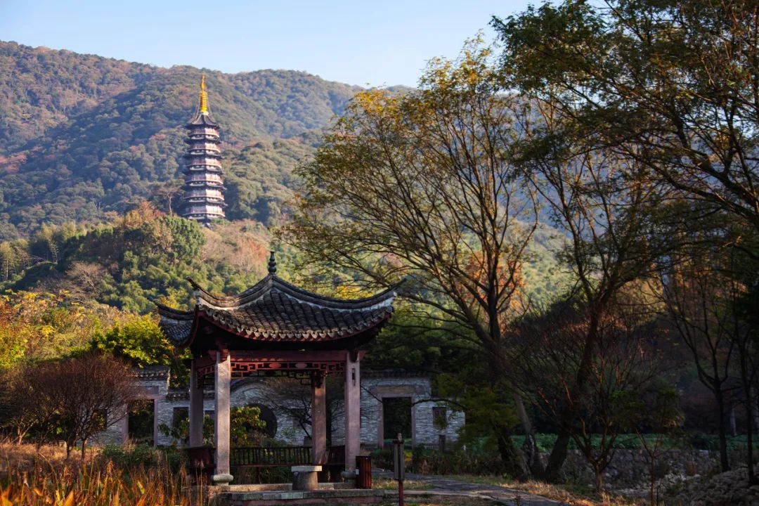 火热的周边游喂饱了本地生活,划算的周边游