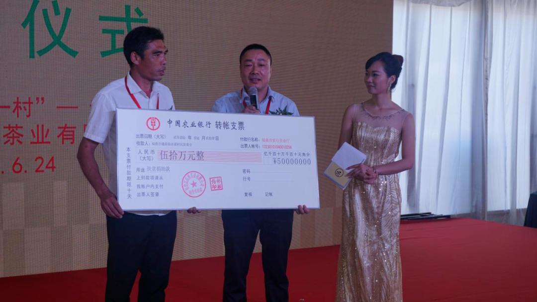 白茶书籍林振传,林振传白茶传承人