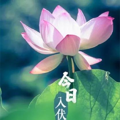 日历进梅的日子怎么算的,日历上入梅和出梅是代表什么