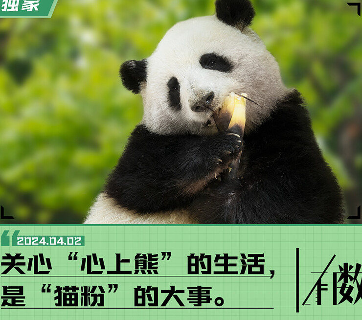 微博前十名的女明星,微博十大热门女明星