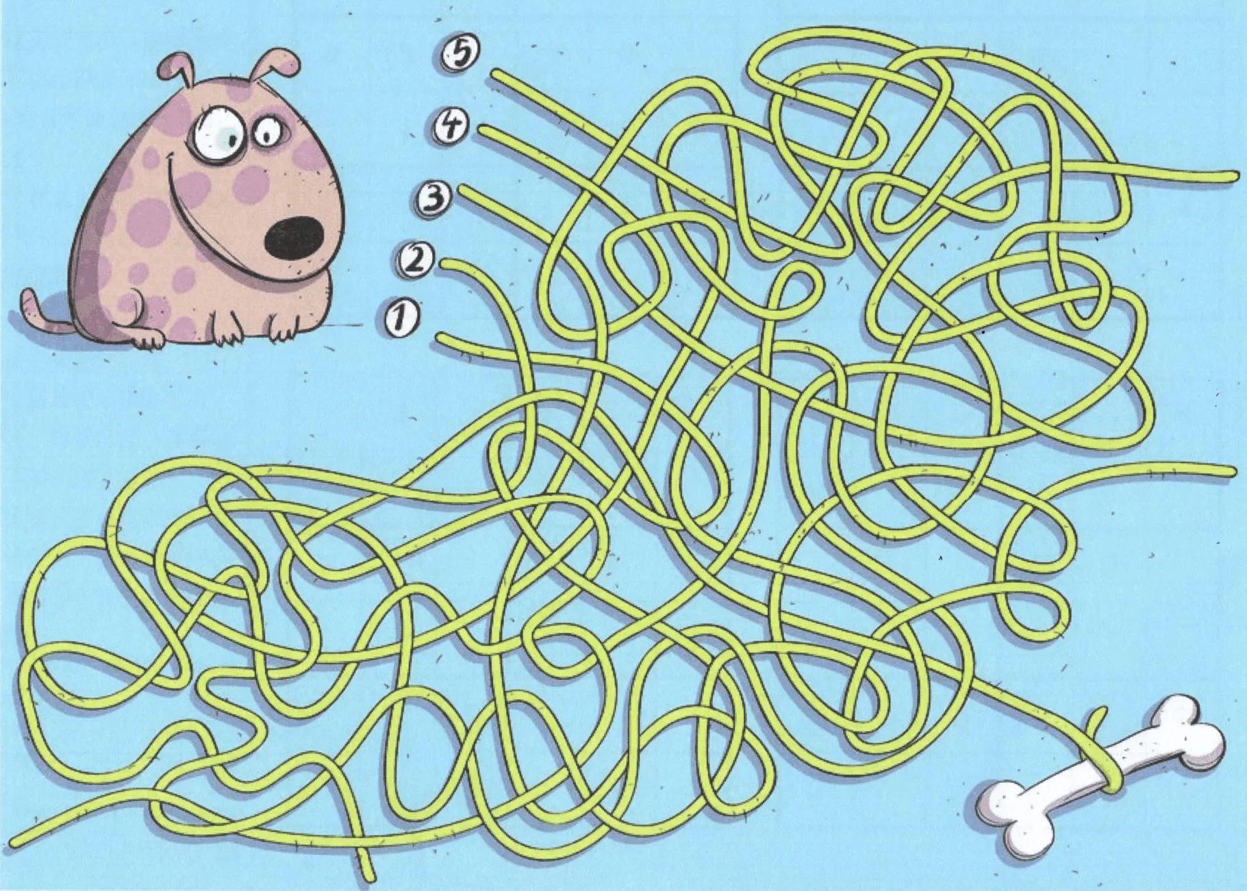 如何开发右脑训练方法,开发右脑十种方法