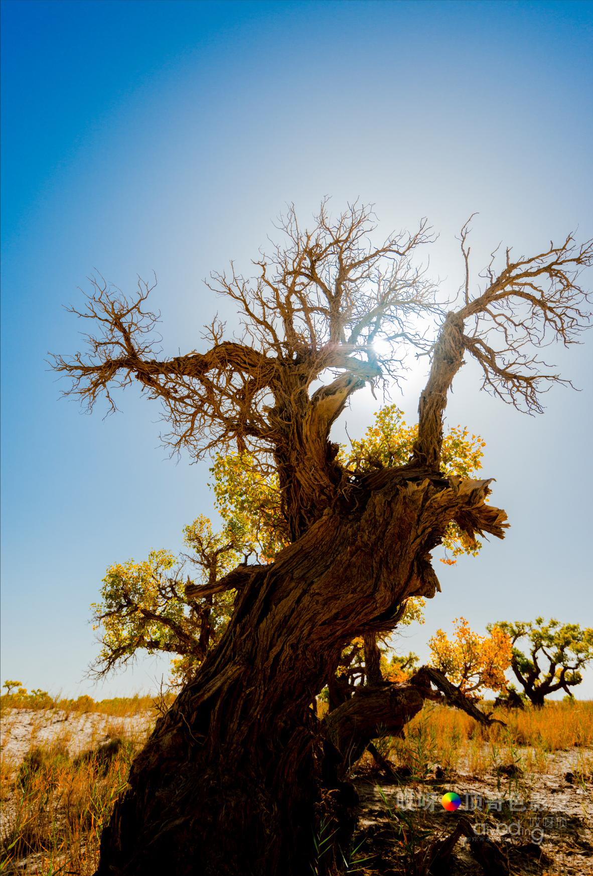 女司机带娃去新疆自驾游,带着女司机自驾游兰州