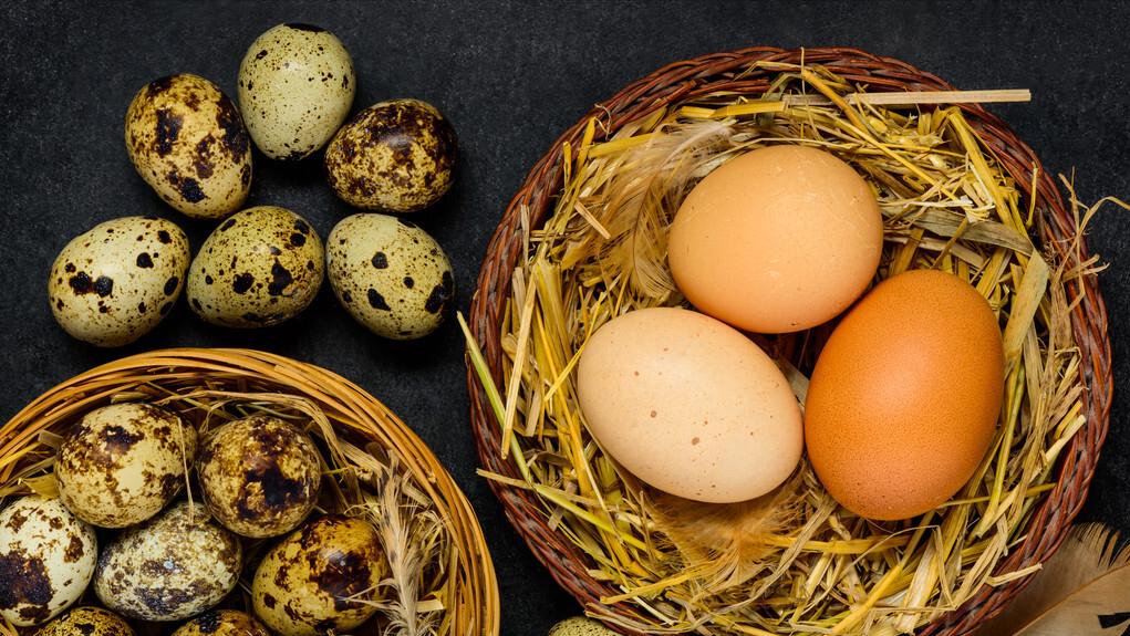 老年人缺钙该怎么办？想要强肾补钙关节好，试试这3个妙招