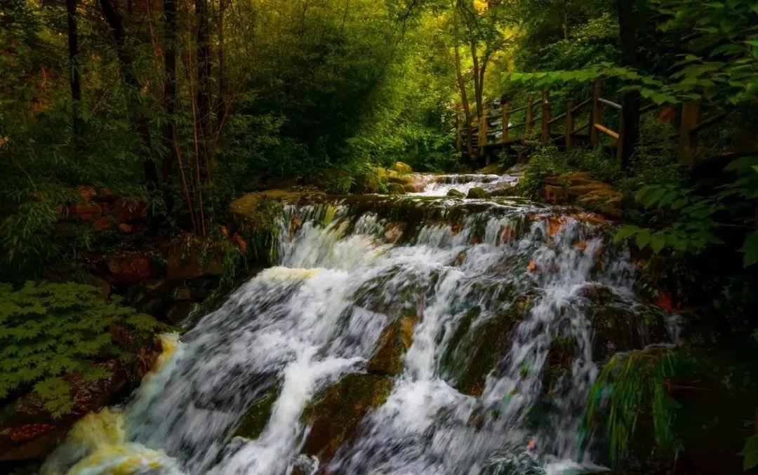 济南历城区免费的4a景区,济南免费花海景区