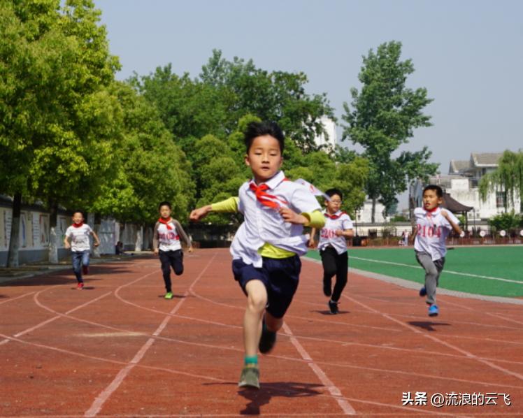 2023年中考热点作文语文,宁夏2023年中考语文作文